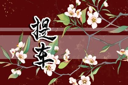 2027年08月09日提车好不好 是提车好日子吗