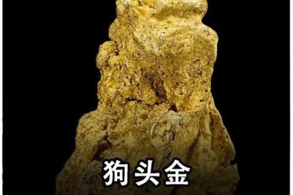 金狗命理中缺失的元素