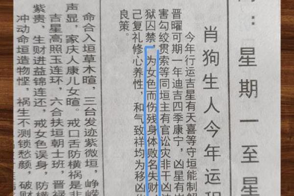 属狗者2026年各月运势详解
