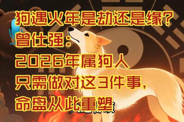 2026年属狗人需避开的禁忌方向