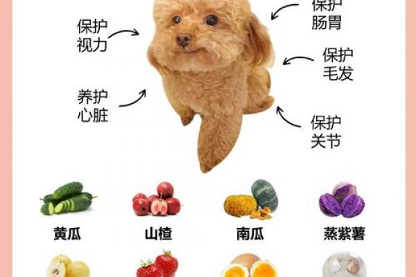 哪一天降生的狗狗最享福气