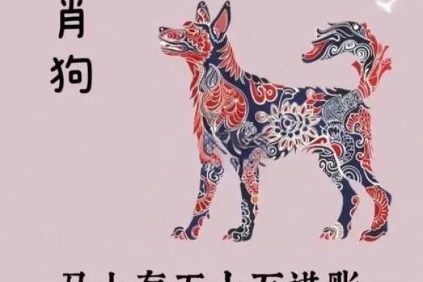 属狗者2026年婚姻运势解析