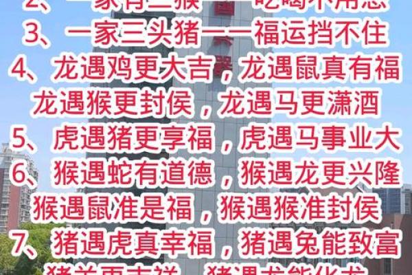 火猴与金猴是否相克
