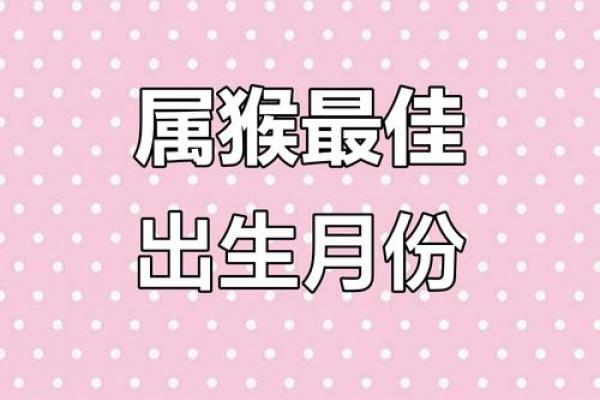 属猴人36岁后十年大运