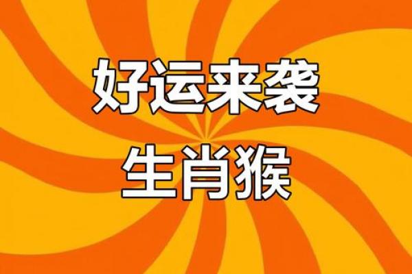 属猴人36岁后十年大运