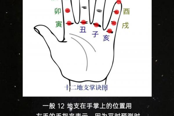 十二地支相破详解