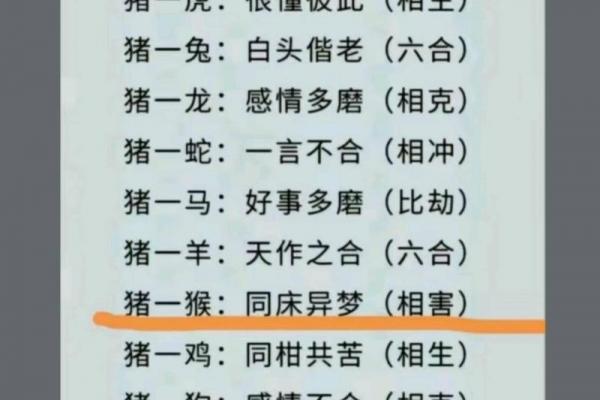 属猪命中有几个儿子