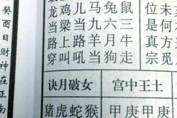 火马命逢火马年吉凶如何