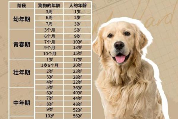 2026年属狗重孝在几月