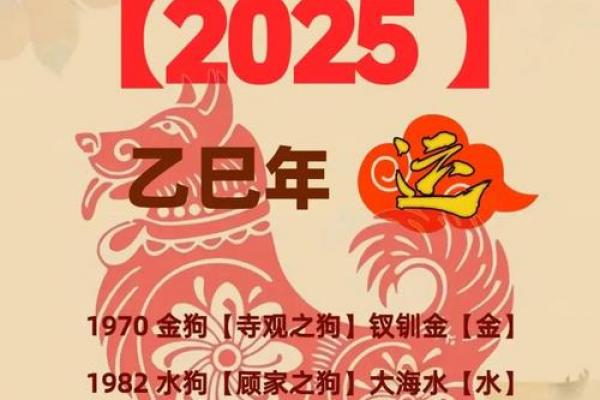 属狗人36岁后十年大运解析