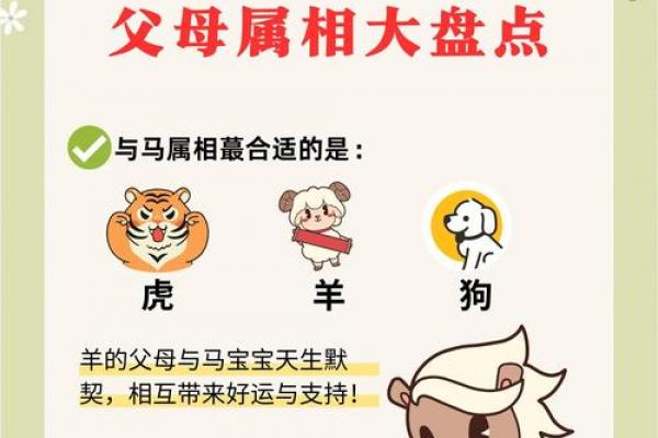 马男一生守护的生肖女