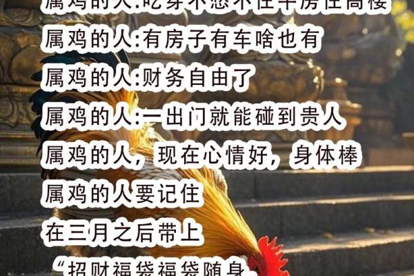 1981年属鸡女性的最终结局