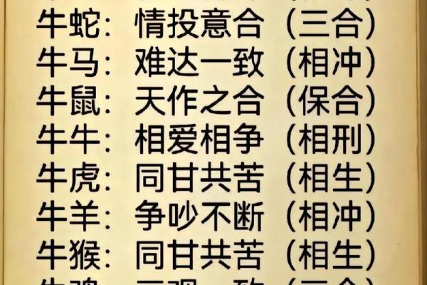 牛与何生肖难相合