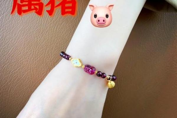 属猪者2026年适宜佩戴哪些饰品