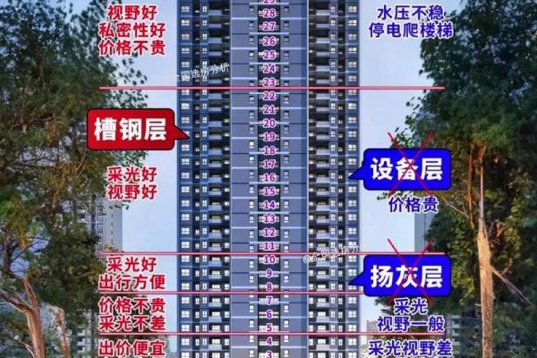 属龙大林木命适宜居住的楼层