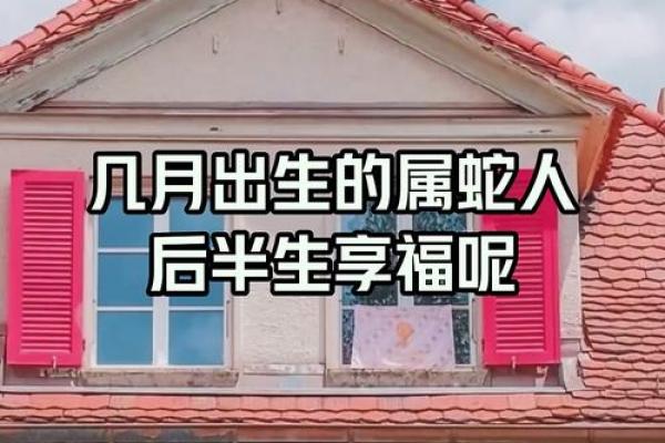 65年属蛇女性晚年境遇堪忧