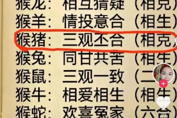 属猴人二婚才是正缘？头婚与二婚哪个更好