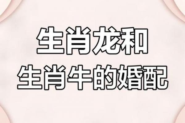 属牛女性晚年是否注定守寡
