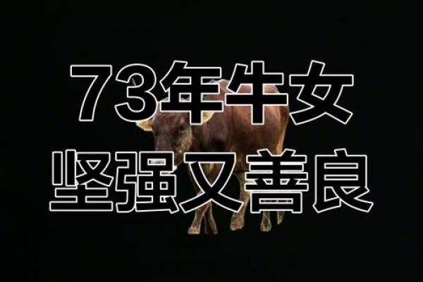 属牛女性晚年是否注定守寡