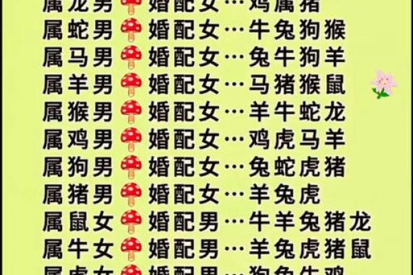 属牛女性送亲选什么最合适