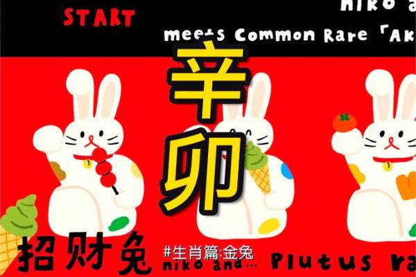 金兔命属何等命格