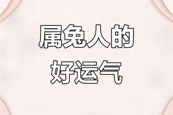 属兔人2026年财运巅峰时刻与暴富契机