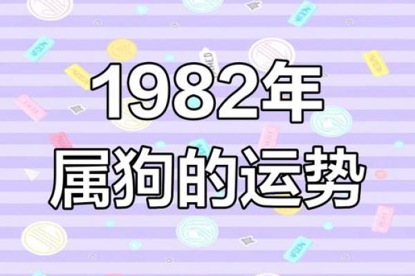 82年属狗女性2026年喜事预兆