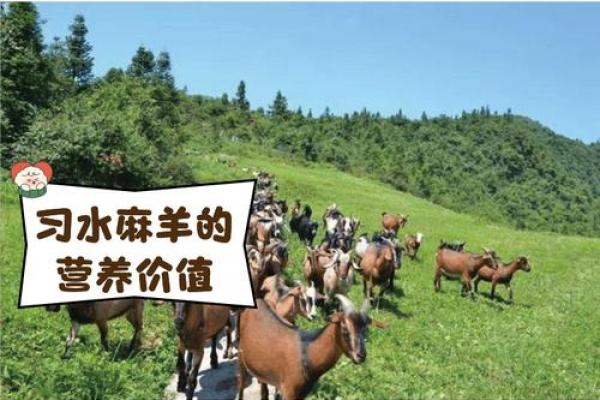 土羊命适宜从事的生意类型