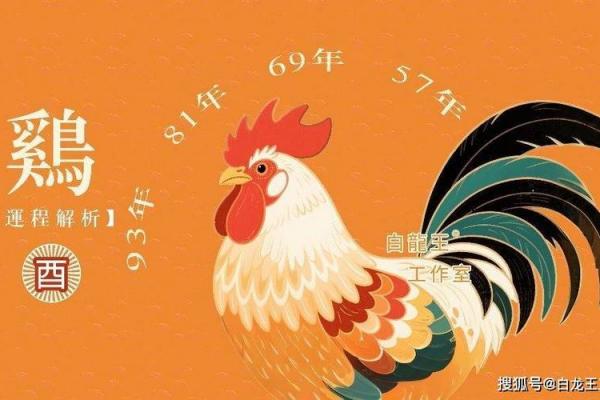 2026年属鸡运势腾飞的深层缘由