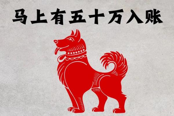 属狗之人终身财富运势如何