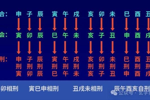 地支合化深度解析