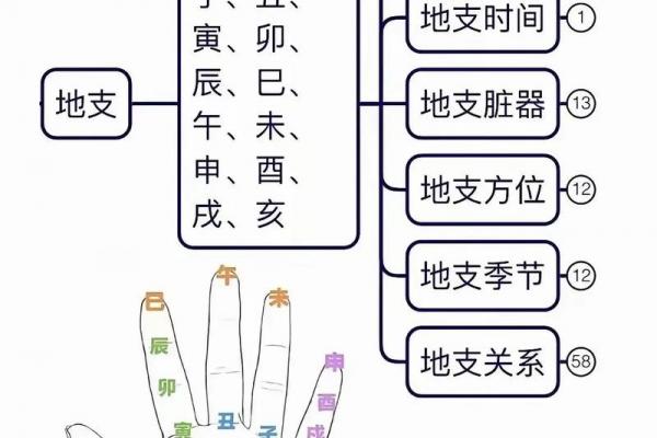 地支合化深度解析