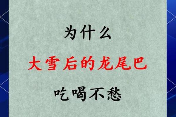 午时出生的龙女是否福气满满