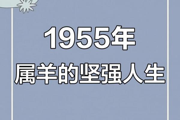 属羊人更适合打工还是创业