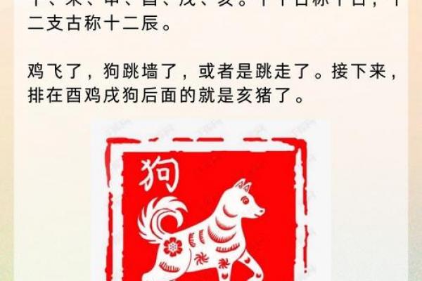 火蛇命与石榴木是否相克
