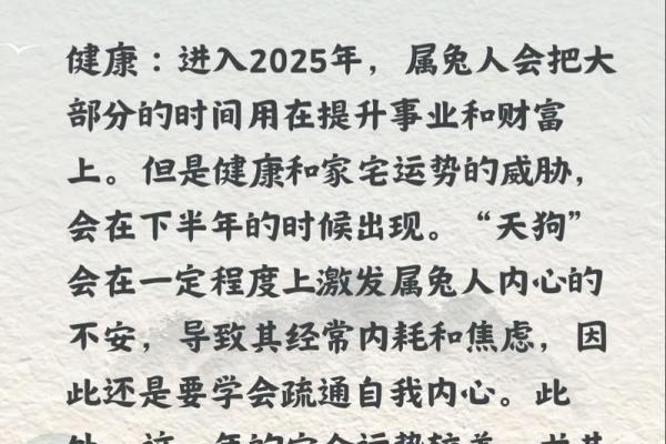 属兔者2026年运势强势逆转
