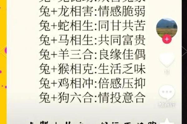 属兔男女结合婚姻是否和谐