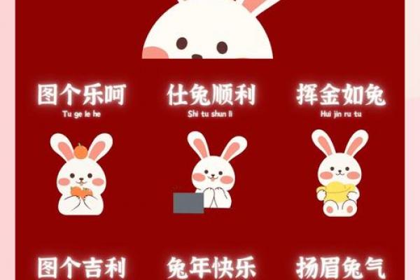 属兔者入门遇何物最旺