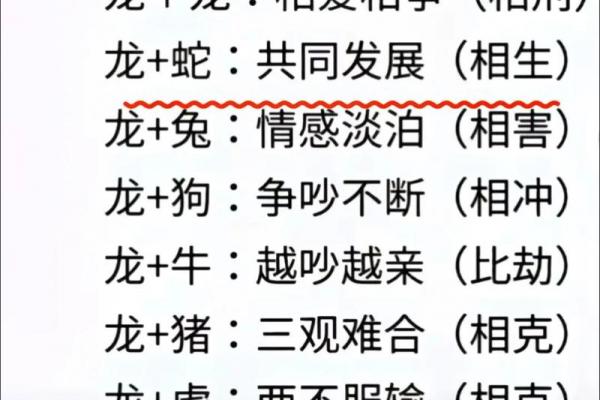 属龙男最佳婚配属相