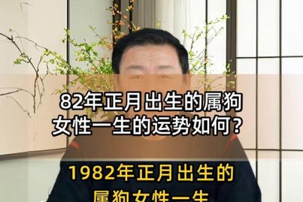 82年属狗者暴富的关键年龄