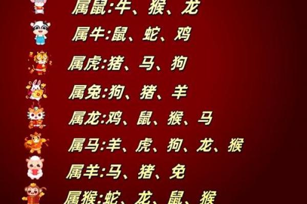 属龙者命中的桃花贵人是谁