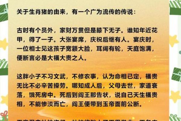 属猪者2026年学业运势如何