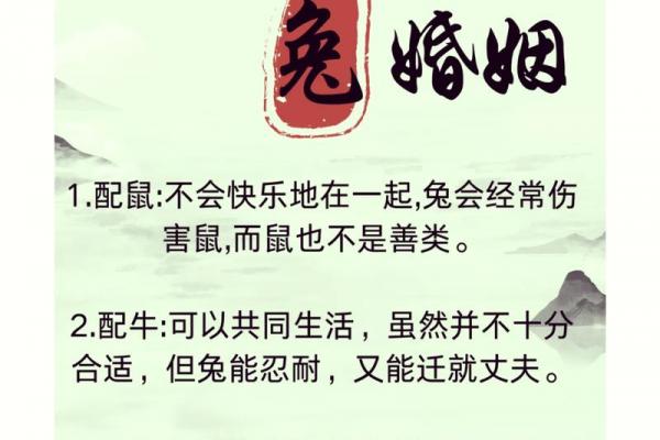 兔与何属相相冲