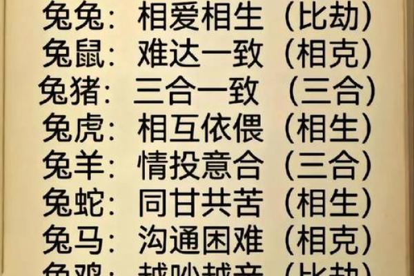 兔与何属相相冲