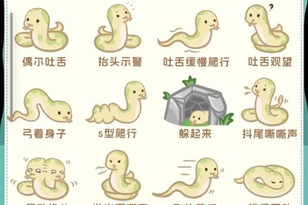 生肖蛇晚年命运解析