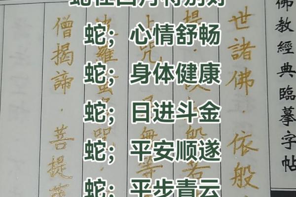 属蛇女2026年能否脱单及找到男朋友