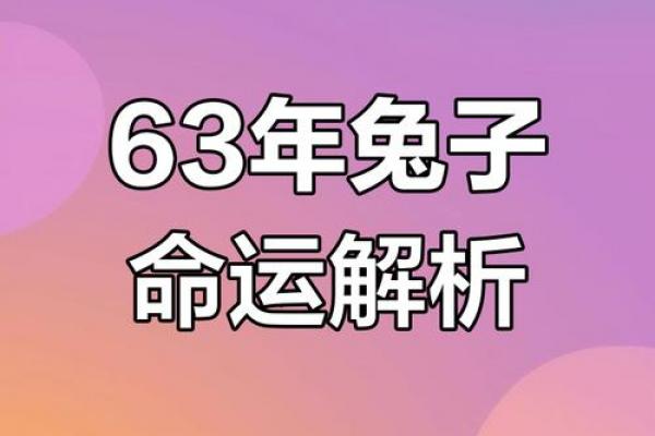 63年属兔男性晚年是否会离婚