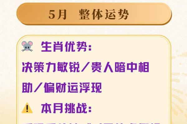 生肖鼠遭小人暗算时的自保策略及命中贵人解析