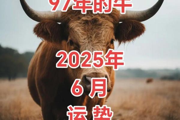 哪个月出生属牛运势最佳，哪个月最艰难