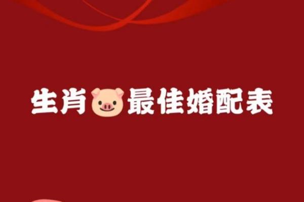 95年属猪者二婚最佳配偶选择